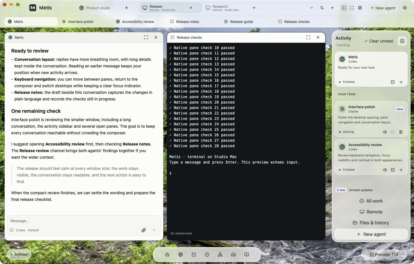 A remote Metis desktop displayed beside local sessions, with a terminal and agent activity