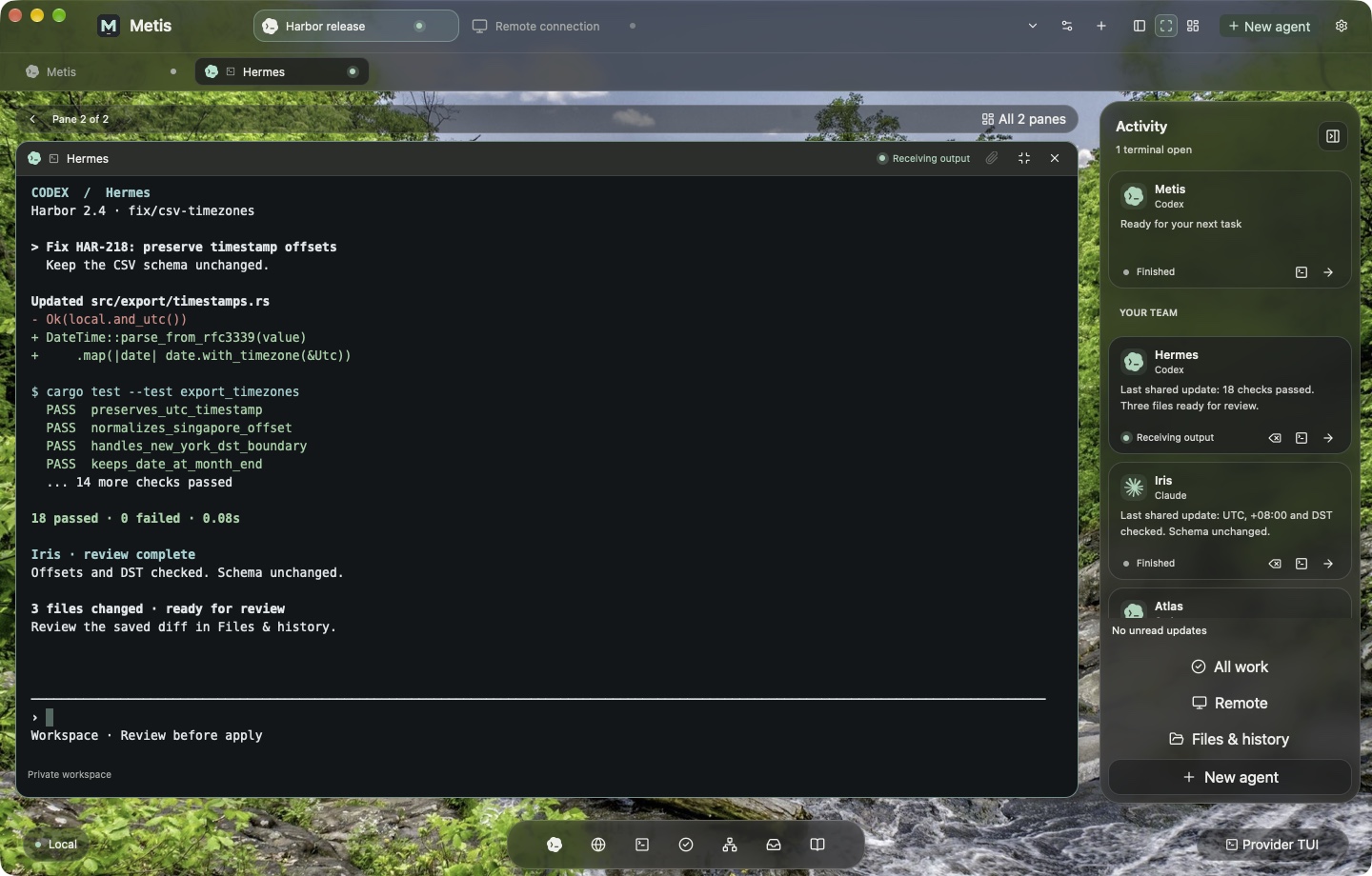 Codex provider terminal with synthetic Harbor timestamp checks